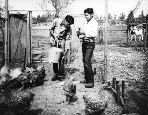 Sherman Indian High students with chickens