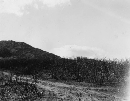 Malibu area fire damage