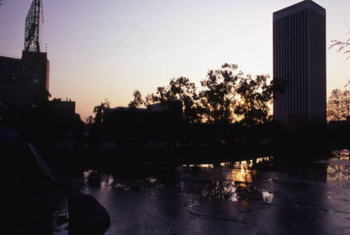 La Brea Tar Pits at sunset