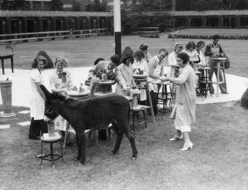 Students sculpting a donkey, view 1