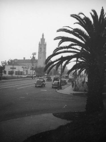 Wilshire west at Windsor