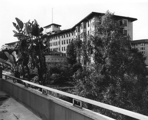 Ambassador Hotel, Large Bungalow, balcony detail