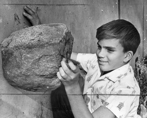 Boy, 11, uncovers fossil of whale