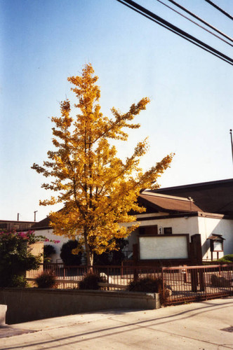 Konko Church of Gardena, view 2