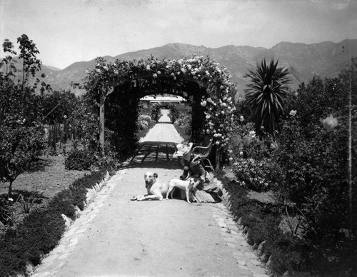 Garden of McNally home in Altadena