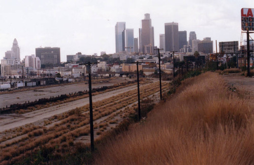 "Cornfields" near Downtown L.A