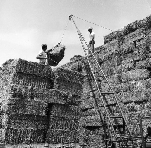 Stacking bales