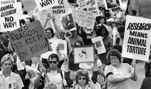 Marching for animals' rights