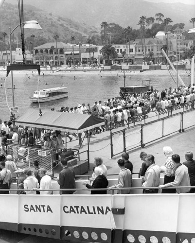 Arriving at Avalon Harbor