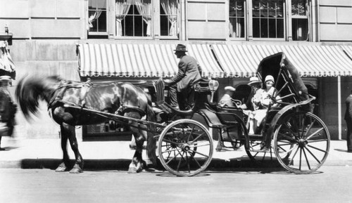 Horse drawn carriage