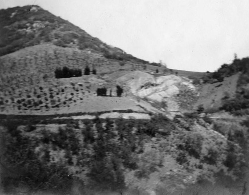 Ojai — Calisphere