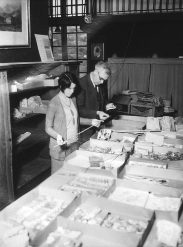 Dr. Harrington inspects Native American artifacts