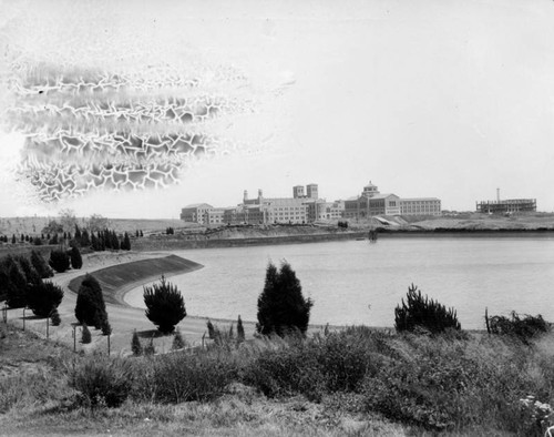 U.C.L.A. campus at time of opening, view 6