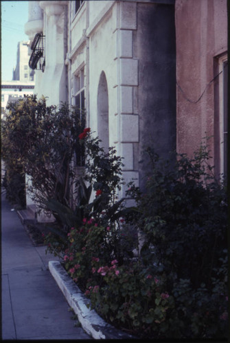 Shatto Street apartment building