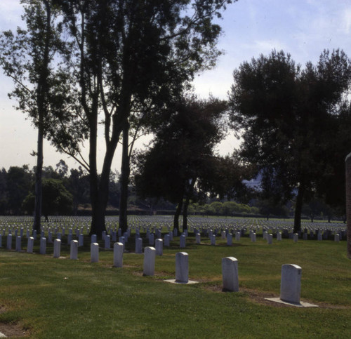 Veteran's Administration Cemetery