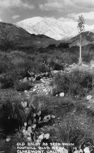 Old Baldy, snowy mountain