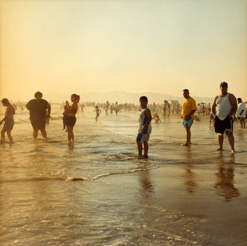 Venice Beach swimmers