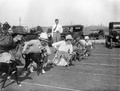 Dog racing, view 3