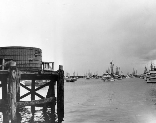 Monterey harbor panorama