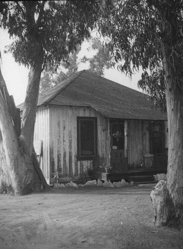 House framed by trees at Pueblo La Brea