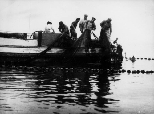 Hauling in the nets