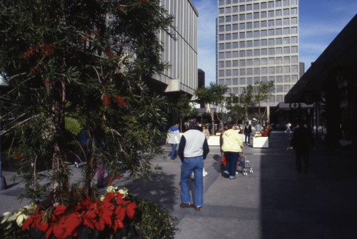 Century City Shopping Center