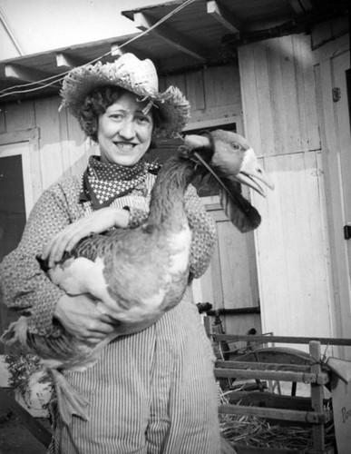 Goose wearing a hat at the Farmers Market Fall Festival