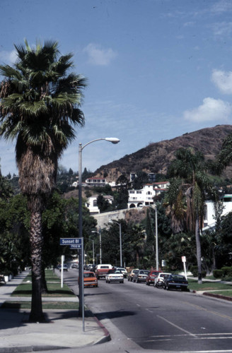 Hollywood Hills neighborhood