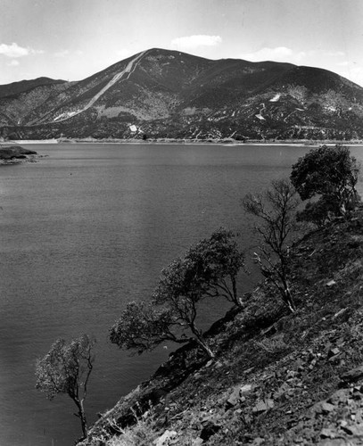 Bouquet Reservoir