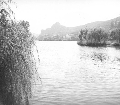 Willows by Malibu Lake