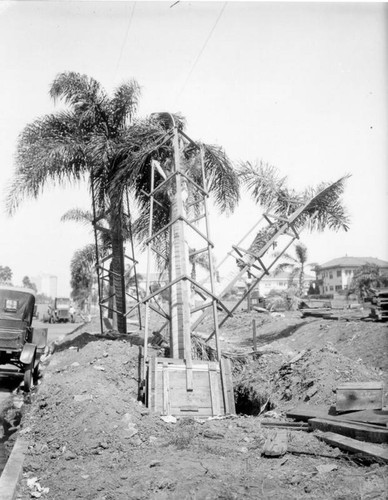 Tree planting on Wilshire Blvd