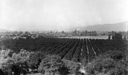 Glendale panorama