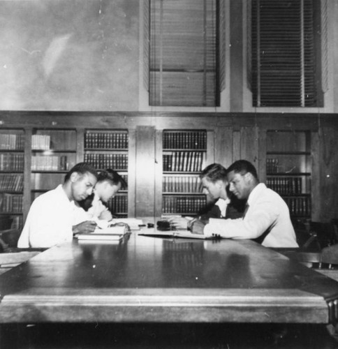 Four young men studying in library