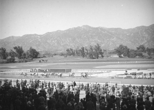 Watching a race at Santa Anita Racetrack