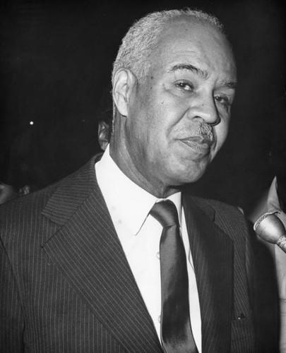 Roy Wilkins, a portrait