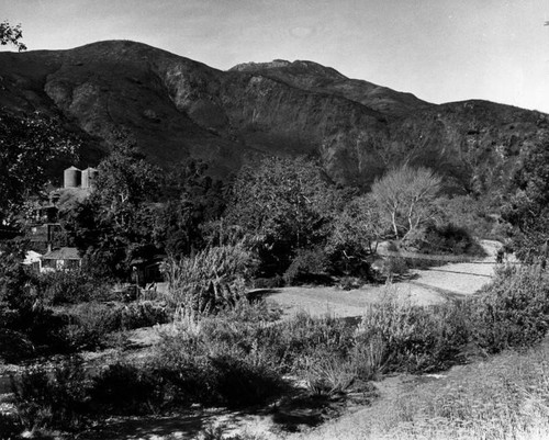 Topanga Canyon view