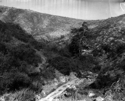 Griffith Park fire, 1933