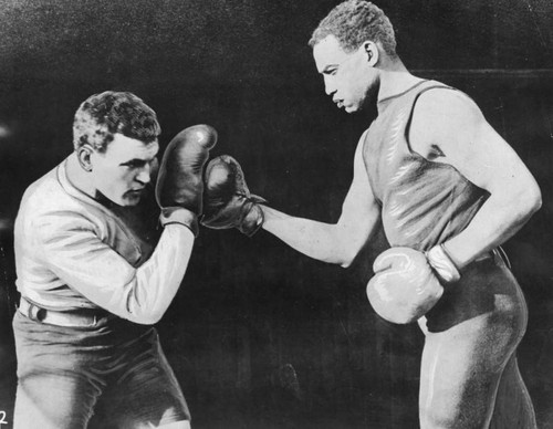 James J. Jeffries in the ring