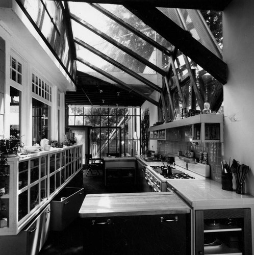 Frank Gehry's kitchen