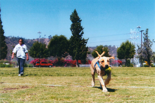 Cypress Recreation Center