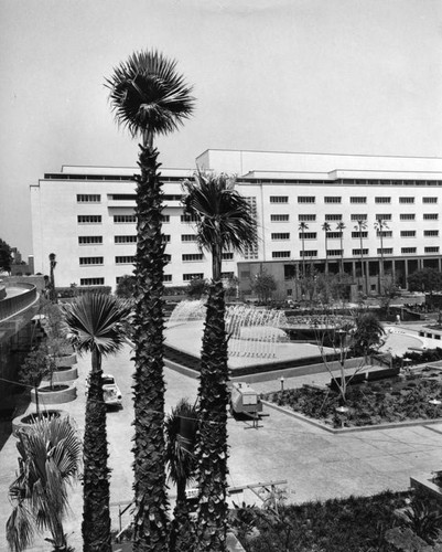 More plants at Civic Center Mall