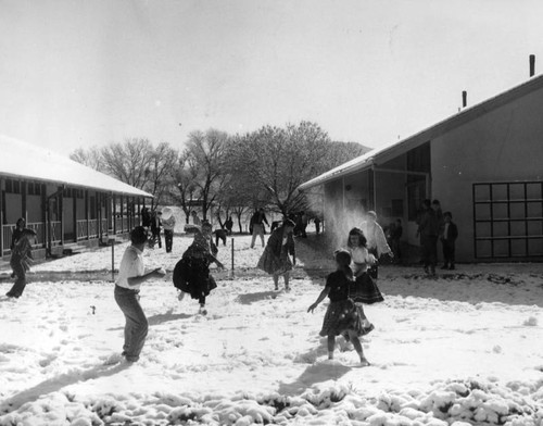 Snowball action in Acton