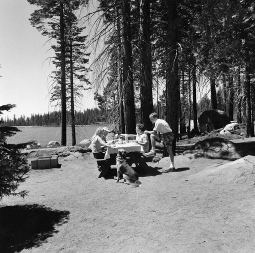 Picnic near a lake