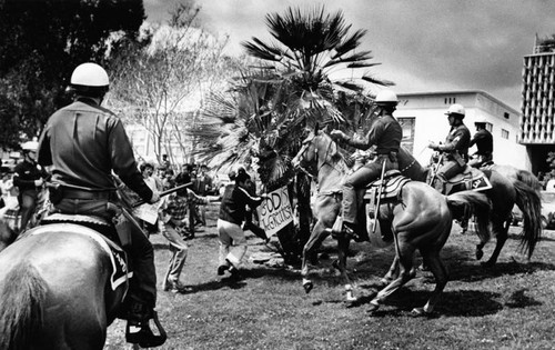 LAPD horse patrol at MacArthur Park