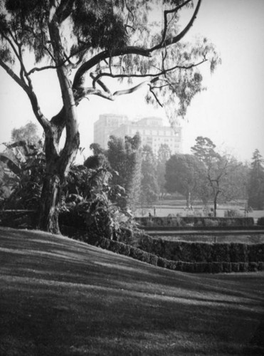 View through Lafayette Park