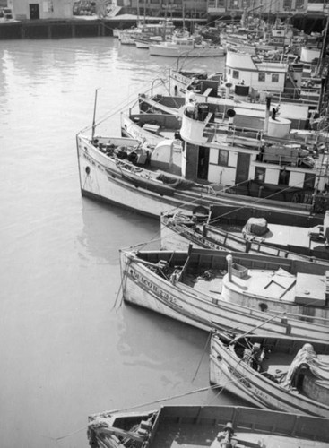 Fishing boats docked at Terminal Island