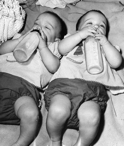 Twins picnic at Wells Park in San Gabriel