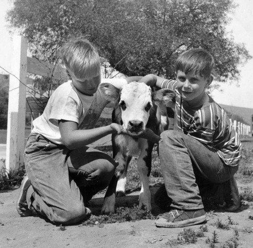 Three buddies at camp