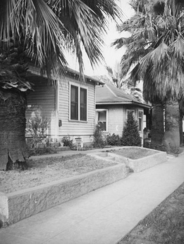 Homes and palms