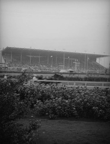 Harness racing at the Los Angeles County Fair